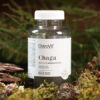 chaga - toidulisandidhulgi.ee